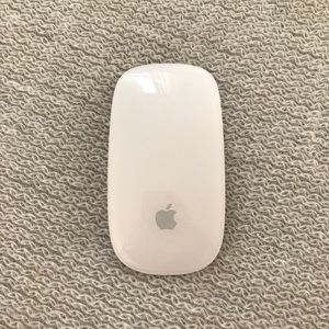 APPLE Wireless Magic Mouse in Case